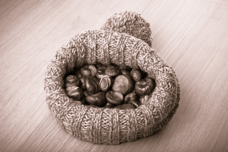 waste collection home